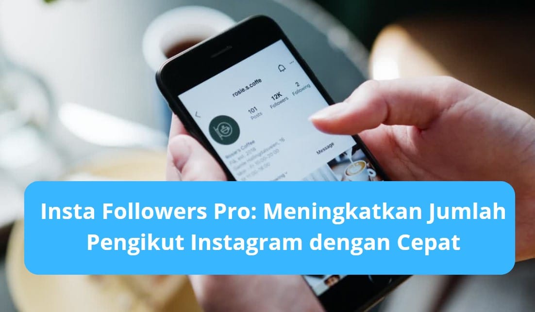 Insta Followers Pro